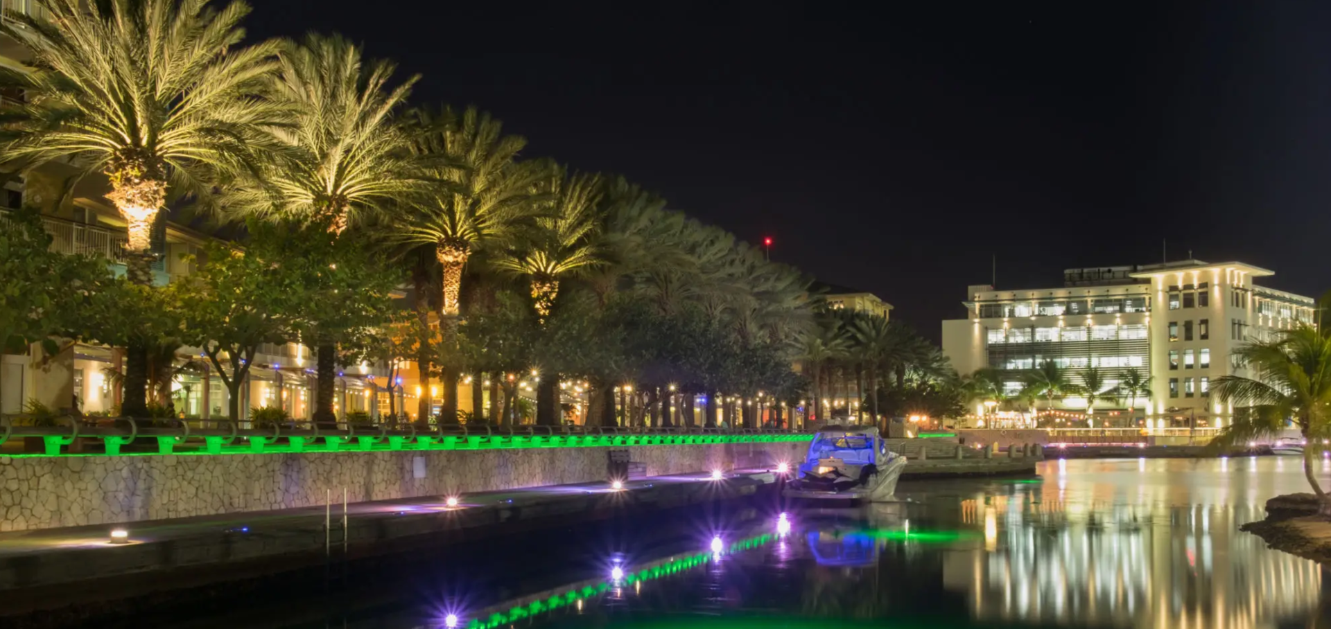 Night view of a palm-lined waterfront with colorful lights reflecting on the water.